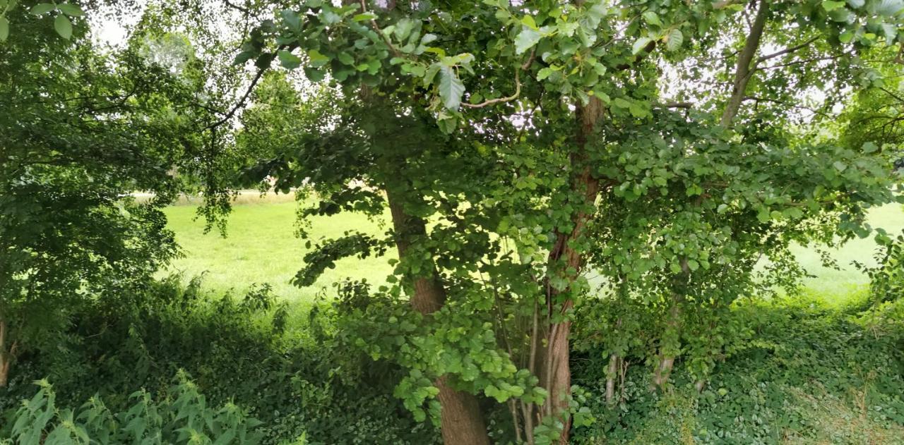Gemuetliches Ferienhaus "An Der Schilde" In Renzow Zewnętrze zdjęcie