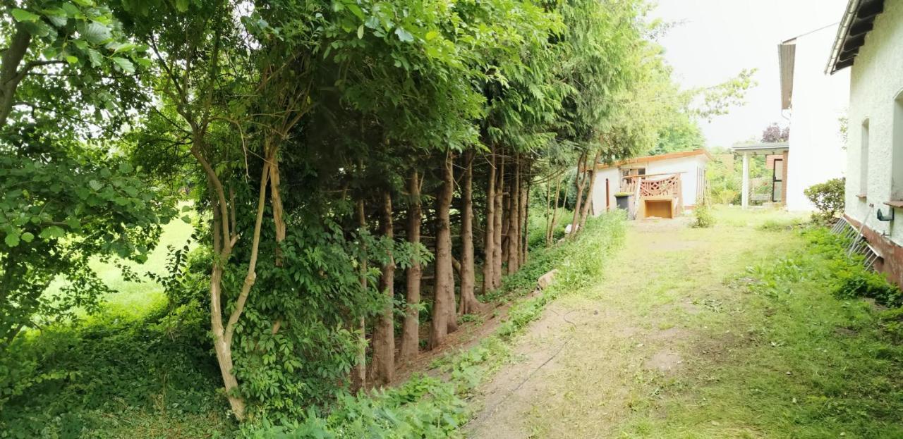 Gemuetliches Ferienhaus "An Der Schilde" In Renzow Zewnętrze zdjęcie